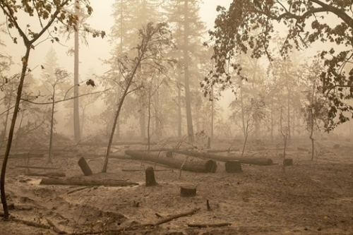 Hatalmas erdőtüzek az Egyesült Államokban