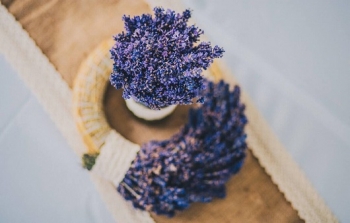 Vasárnapi Levendula Kupa Balatonudvariban