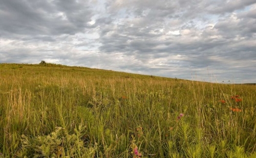 Lehűléssel indul a jövő hét