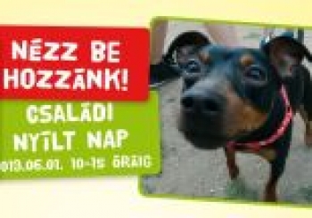 Családi Nyílt Nap a HEROSZ Budapesti Állatotthonban