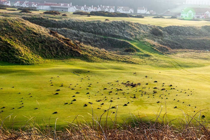 20250309_turnberry3.jpg