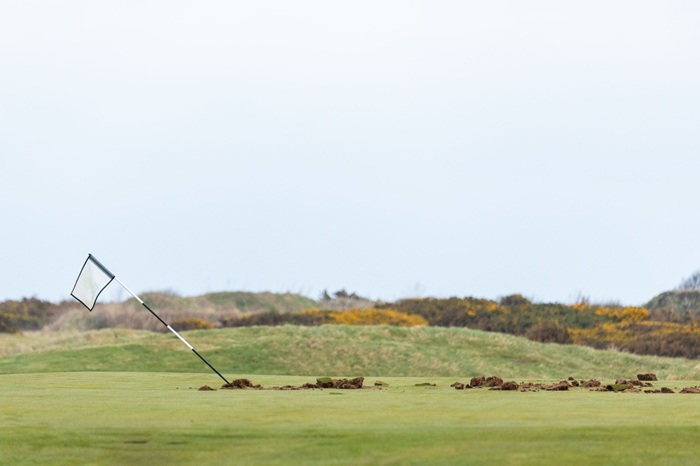 20250309_turnberry5.jpg