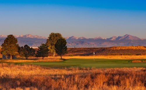 Madarak és vadvirágok lepik el a golfpályákat Denverben