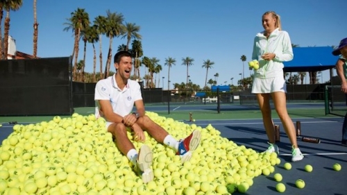 Sharapova és Djokovic is sportágat vált?