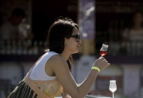 Rekordmennyiségű kiállítóval újra Pálinkafesztivál