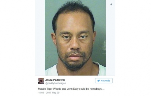 Videó: Tiger Woodsot letartóztatták, majd szabadon engedték