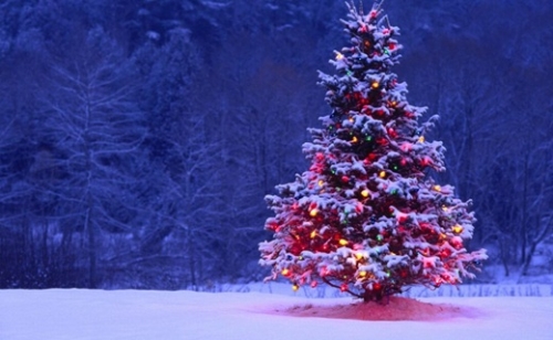 Jaj, de szép a karácsonyfa...