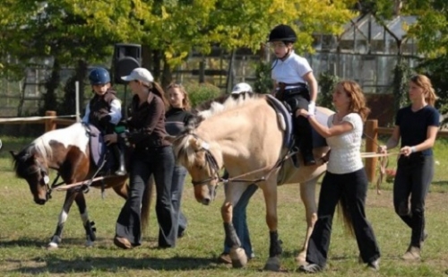 Lovasterápia: használ a gyermeknek, és élvezi a ló is